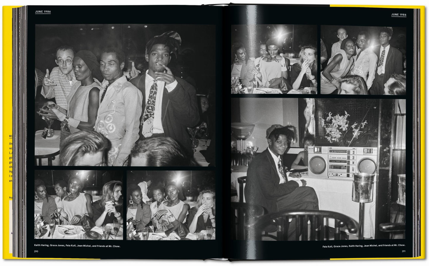 Book Warhol on Basquiat