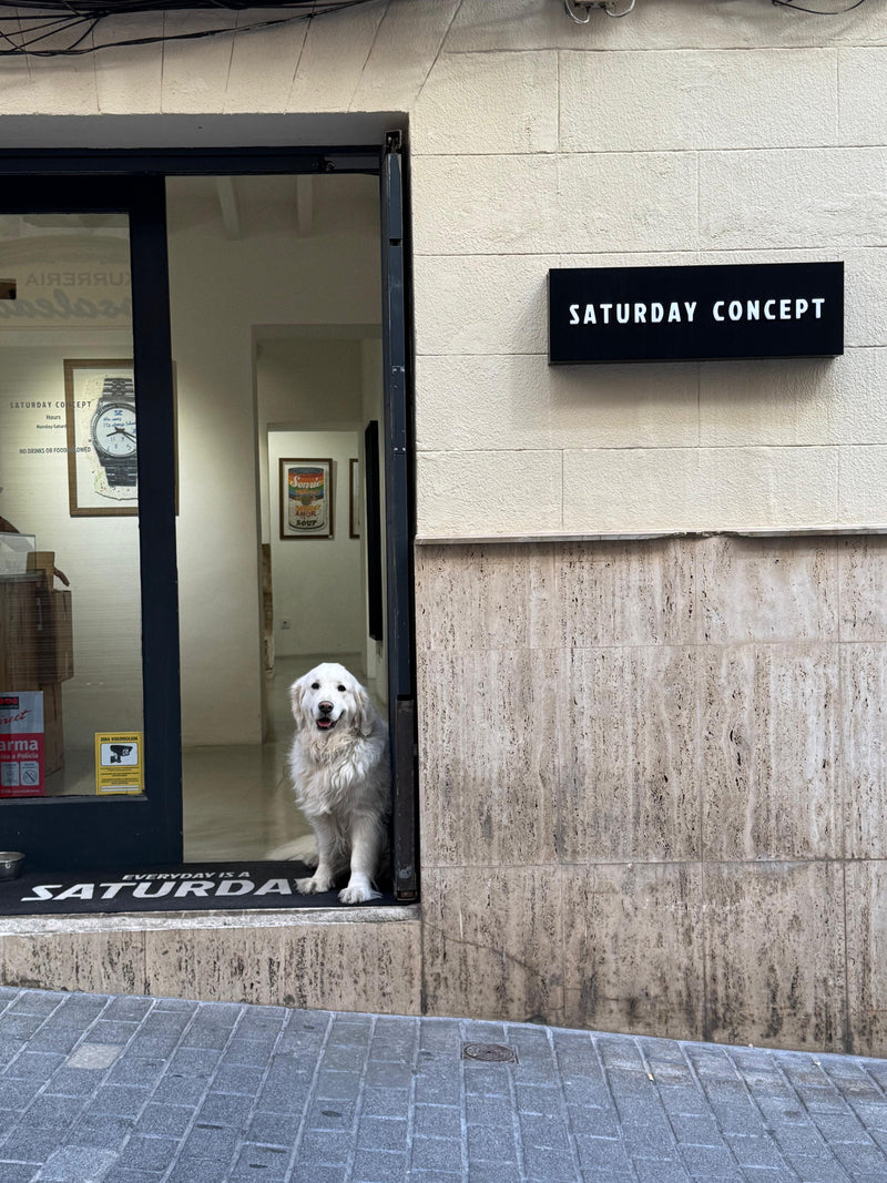 Samstag Concept Pet Friendly! Lernt Willow kennen!!
