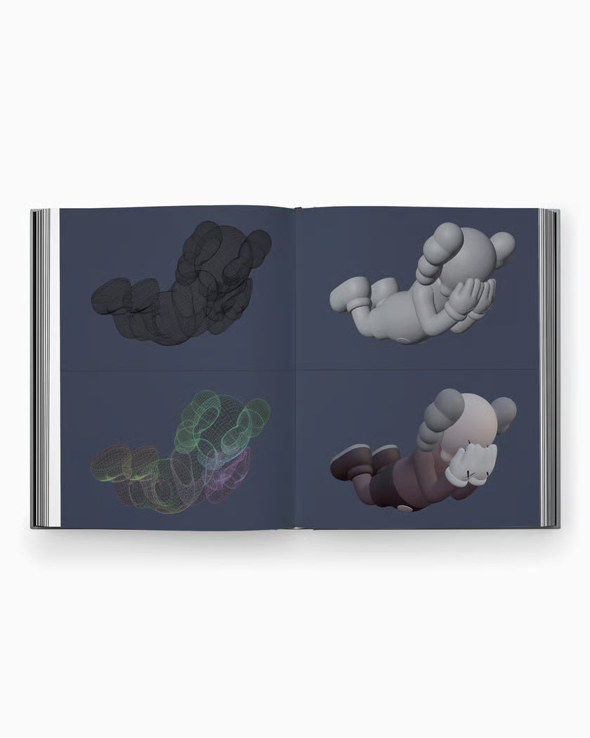 Book Kaws New Fiction