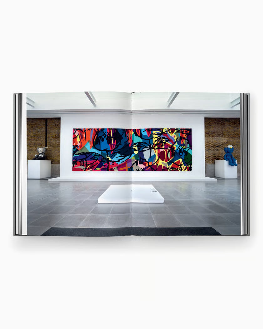 Book Kaws New Fiction