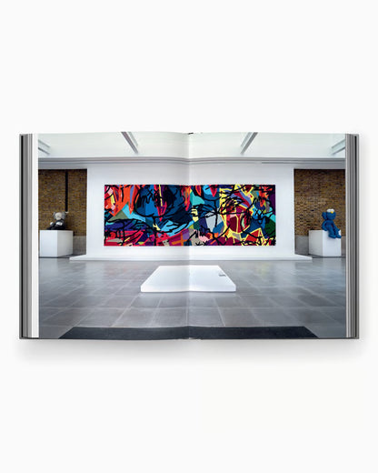 Book Kaws New Fiction
