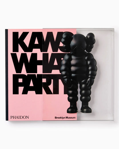 Book Kaws What a Party