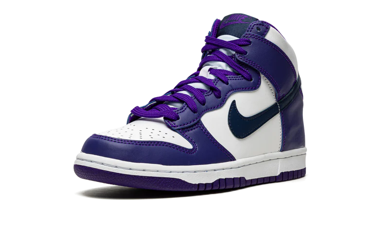 Dunk Hi Purple