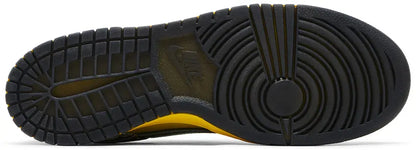 Dunk Low Oregon Visitors
