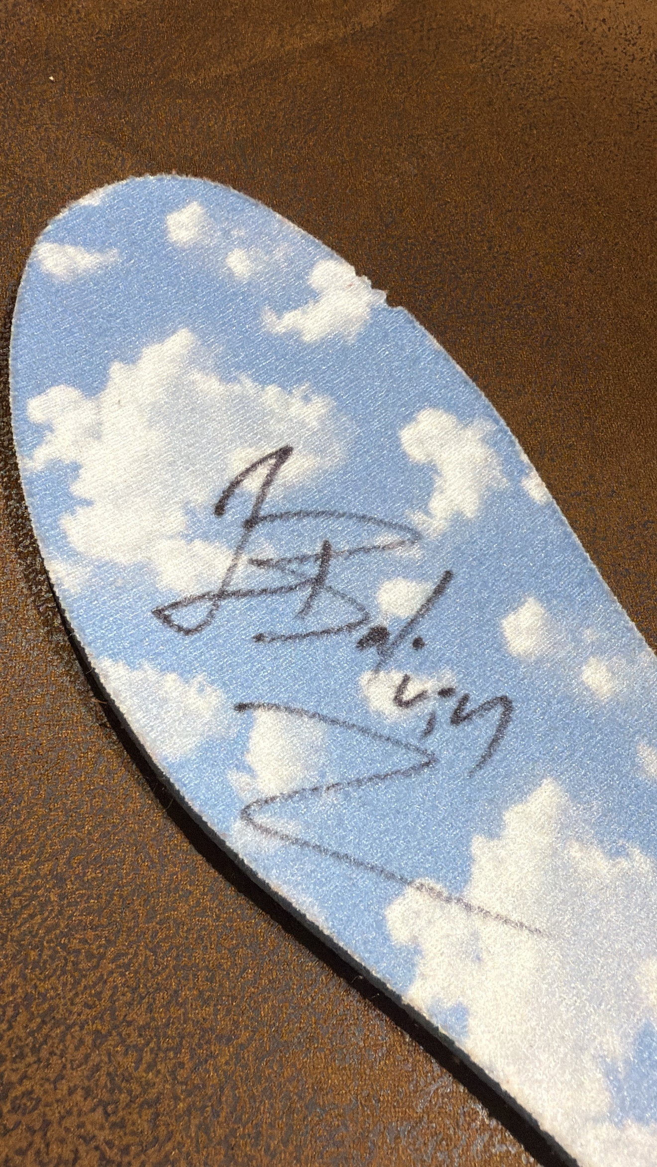 Jordan 2 J Balvin (Signed)