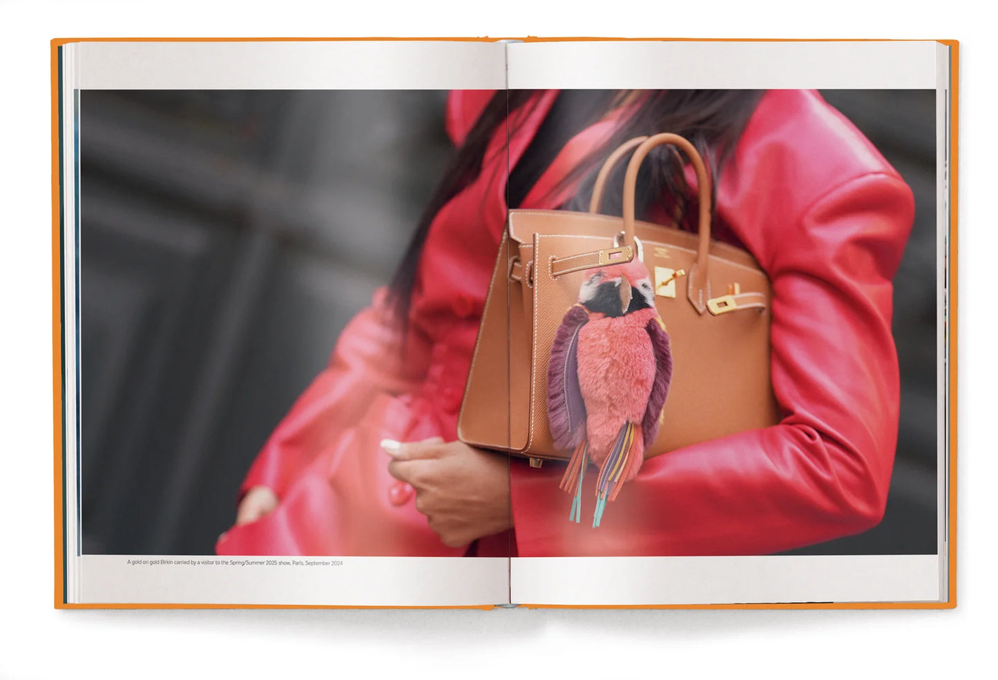 The Ultimate Guide to Hermes Bags