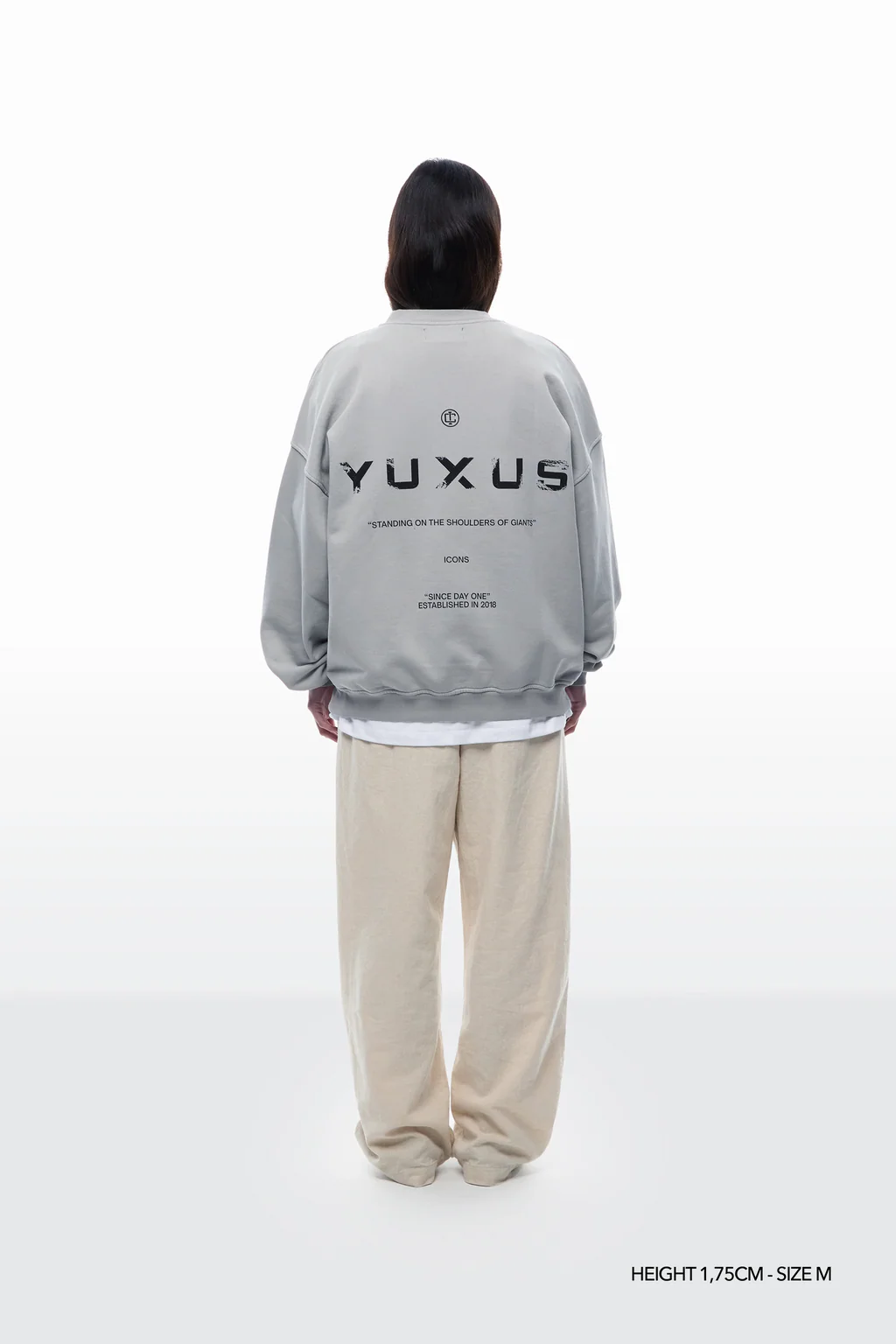 Yuxus Glacier Icons Rundhalsshirt