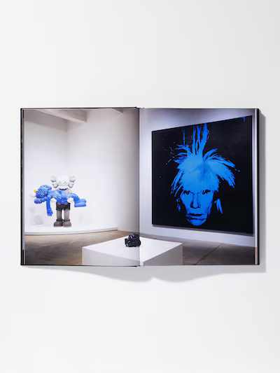Book Kaws & Andy Warhol | Saturday Concept