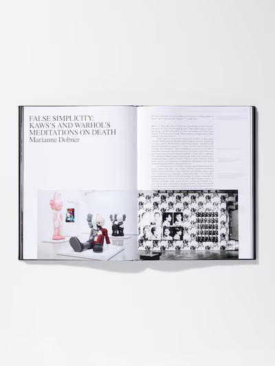 Book Kaws & Andy Warhol | Saturday Concept