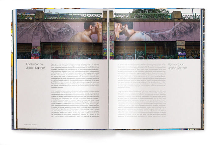 Libro Maestros del arte urbano