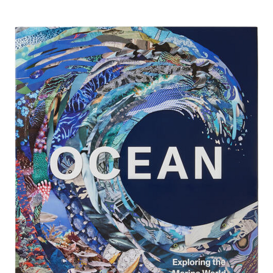 Book - Ocean