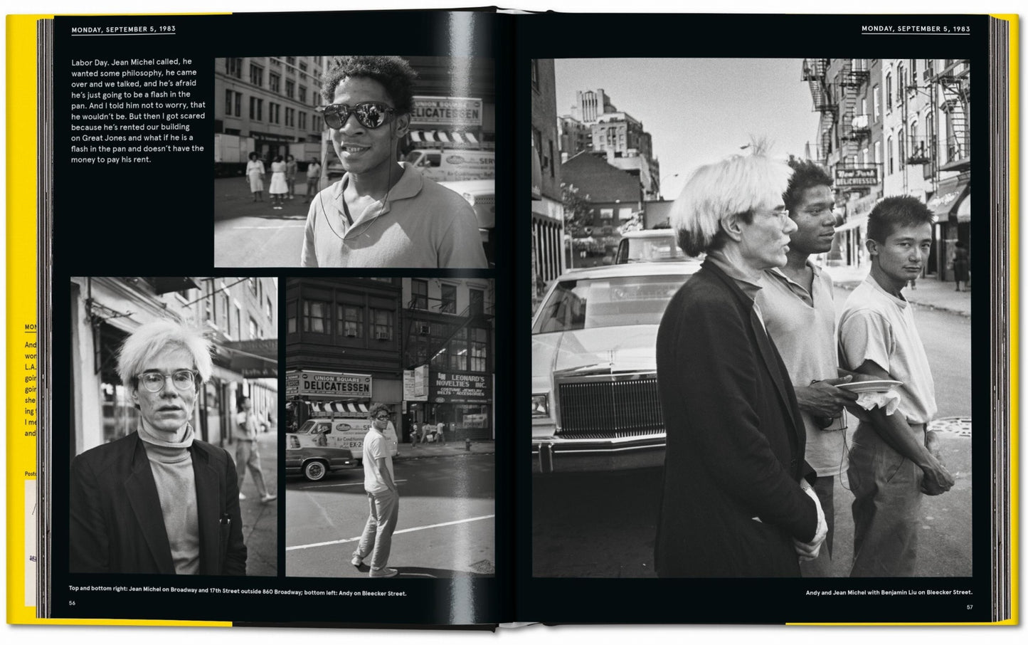 Book Warhol on Basquiat