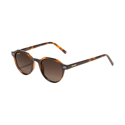 D Franklin Ultra Light Havana Brown - brown, beige | Saturday Concept