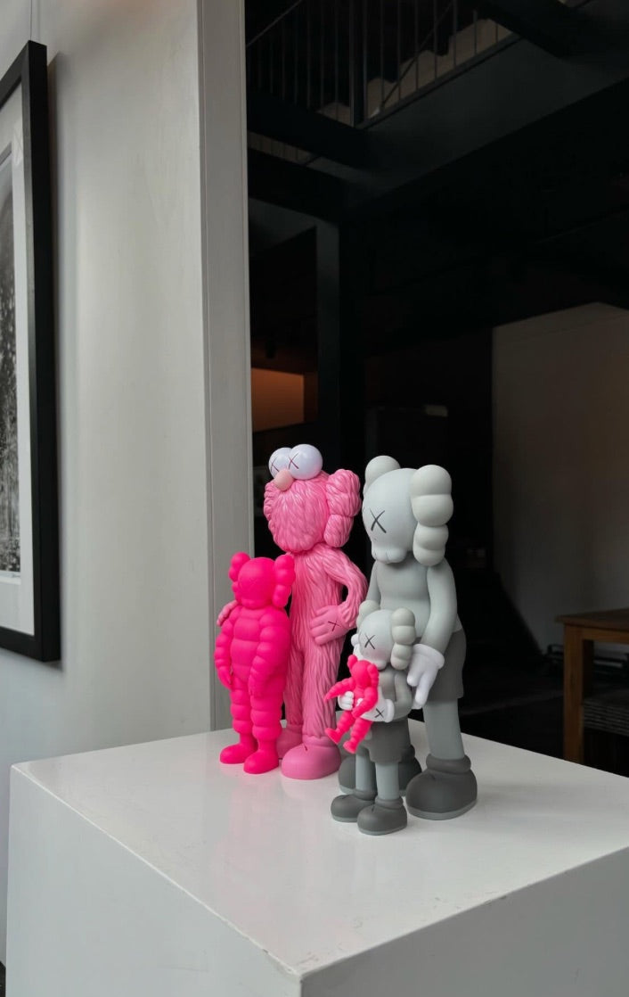 Kaws Family Vinyl Set Grey Pink